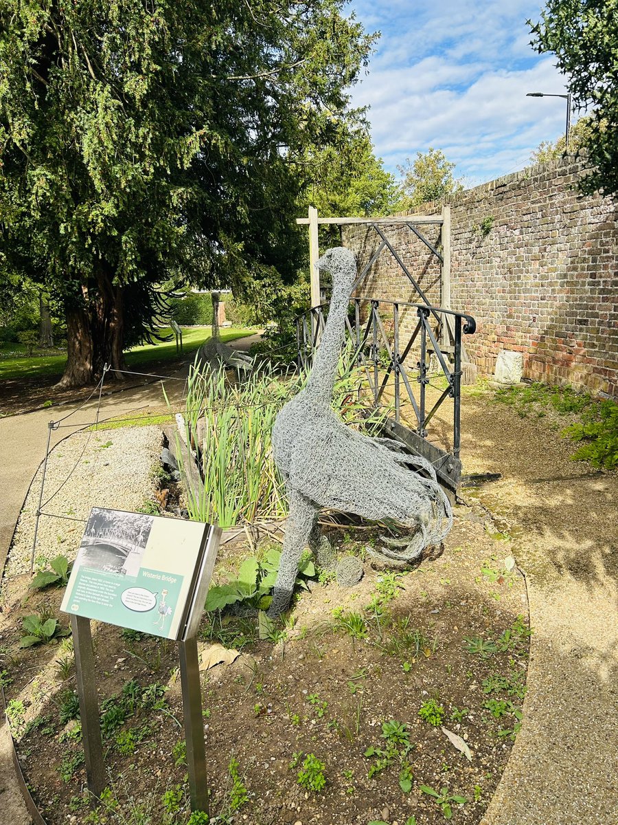 JulieRyanEvents's tweet photo. Fabulous autumnal jaunt to one of my favourite local gardens @LeeValleyPark #myddeltonhousegardens. Well worth a visit https://t.co/B1uYoc2qs5