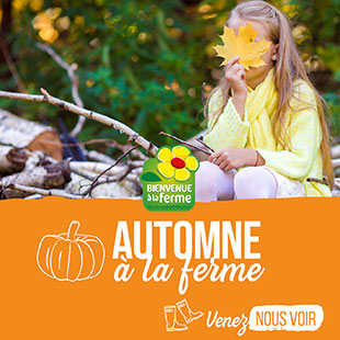 Avec l'automne, 27 agriculteurs du réseau Bienvenue à la ferme accueillent le public : visites des fermes, approche des animaux, cueillettes de fruits, stage de découpe de foie gras, découverte de la spiruline, des shiitakés, repas fermiers … 👉 urlz.fr/nOtm
