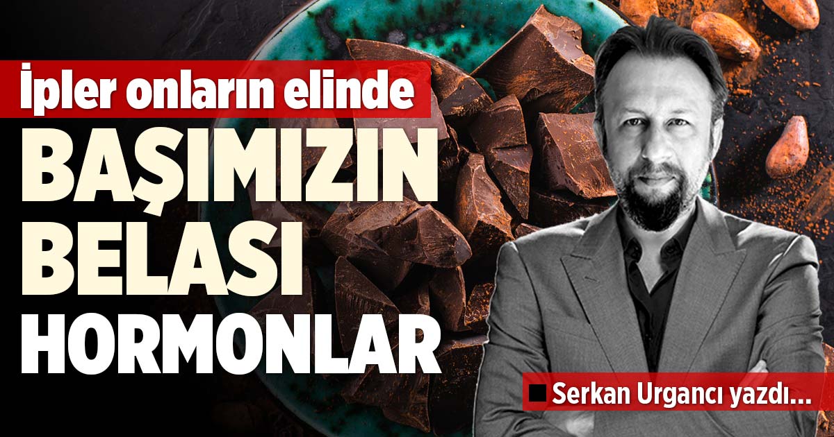 İpler onların elinde
BAŞIMIZIN BELASI HORMONLAR

Hormon dediğimizde herhalde pek çoğumuzun aklına erkeklik hormonu testosteron ya da kadınlık hormonu östrojen geliyordur. Sonrasında heyecan hormonu adrenalin, mutluluk hormonu serotonin, dopamin, aşk ve sevgi hormonu oksitosin,