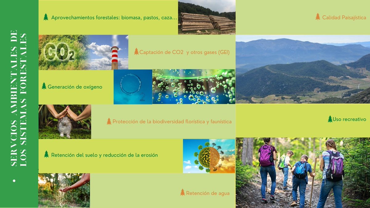 GO Smart-Forestry persigue que los #montes murcianos generen mayores #serviciosecosistémicos para la sociedad ¿sabes cuáles son esos servicios?
<a href="/Agrinnova1/">Agrinnova</a>
<a href="/ingdemontes/">Ingeniería de Montes</a>
<a href="/Selvicultores/">Selvicultores</a>
<a href="/redPAC_/">Red PAC</a>