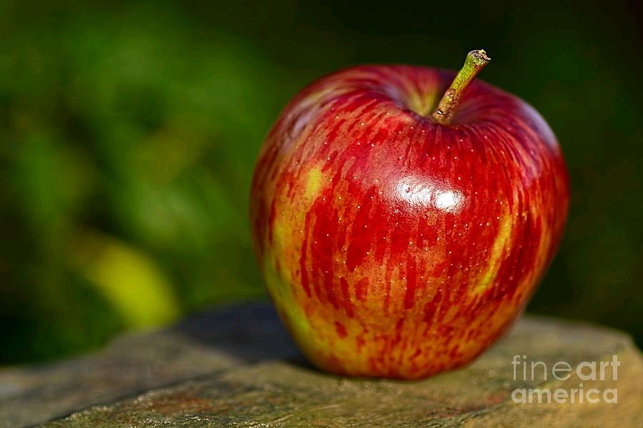 #Just #Delicious By Kaye Menner #Photography #prints #lovely #products at:
 buff.ly/3Q2buTO
#Art #BuyIntoArt #AYearForArt #Artist #FineArtAmerica