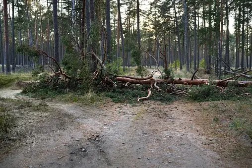 GlobalTradeFin's tweet image. 🌐 Sequential Time Slices

The term &quot;#sequential #time #slices&quot; often refers to a method of analyzing or representing data in #chronological order, broken down into specific #intervals or periods. In the context of #investments and financial analysis, here’s how it may be…