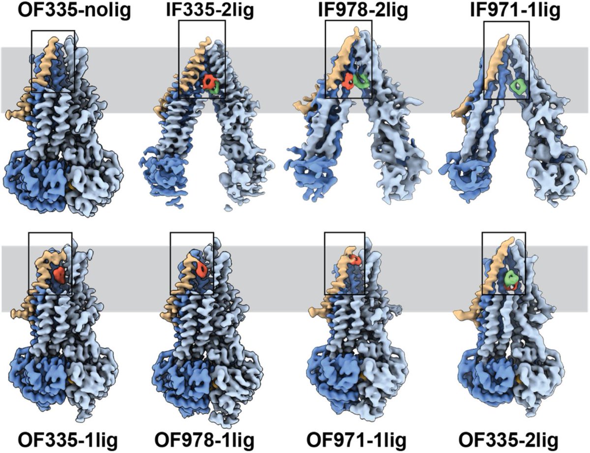 Kristian Parey tweet media