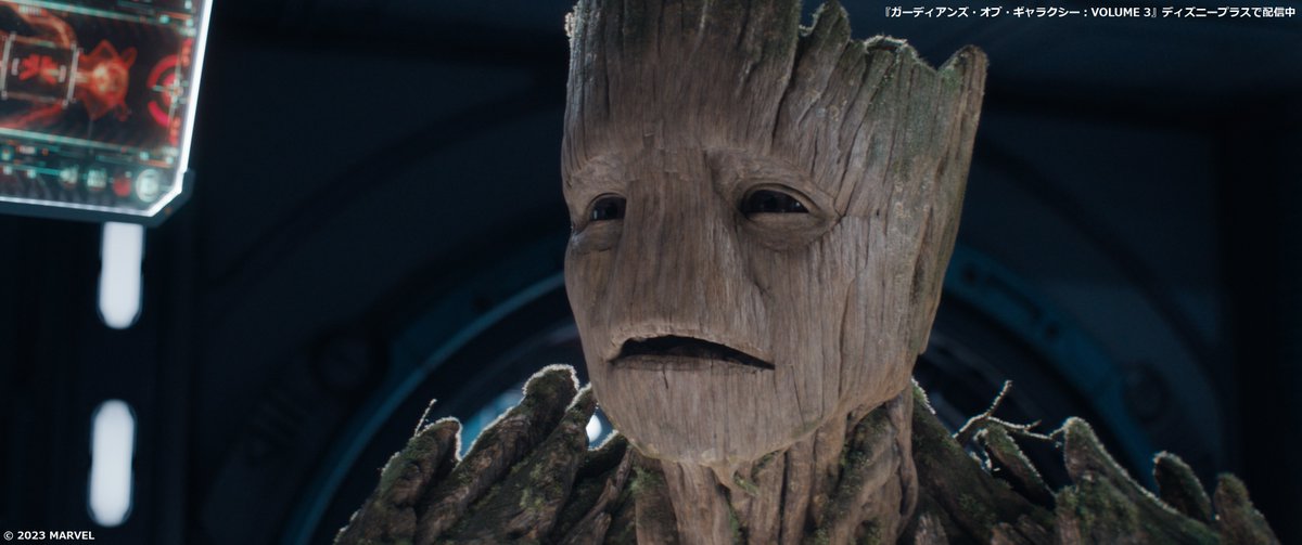 ⋰ I am Groot‼ ⋱ #木の日 にちなんで、 樹木型ヒューマノイドである