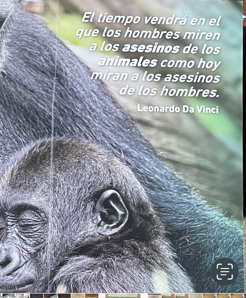Leonardo Da Vinci, un sabio un adelantado a su tiempo. El sufrimiento que provoca esta humanidad a los animales es terrible, y nos resultará tan incomprensible como ahora percibimos la esclavitud. No quiero una actitud de indiferencia, o lo que es lo mismo, de complicidad.