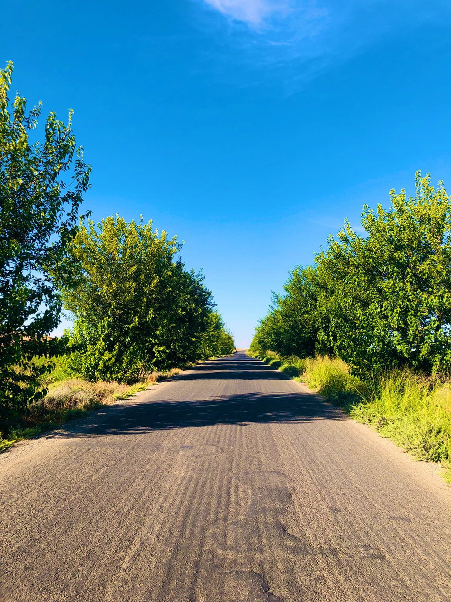 Friday morning 🌳🛣🚗

#goodmorning #goodmorningfriends #morning #MorningVibes #fridaymorning #FridayFeeling #FridayMotivation #FridayVibes #FridayThoughts #tree #trees #treepeople #road #way #photographer #photography #PhotoChallenge2023October #landscape #view #6Oct #6ottobre