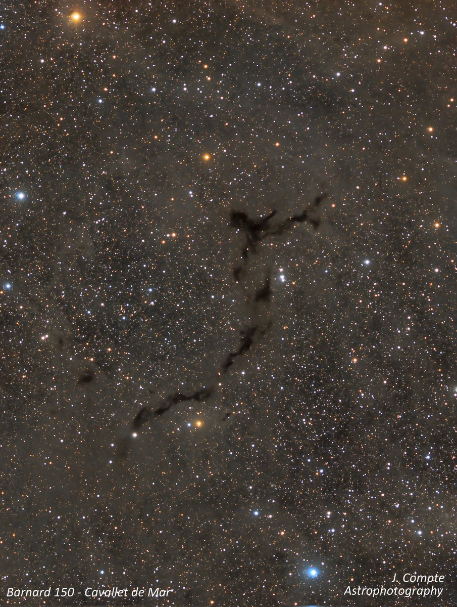 Happy world space week!🥳🚀🌟

Let's celebrate with a #seahorse!

Barnard 150, aka #Seahorse Nebula, is a dark nebula in Cepheus constellation. It´s part of our Milky Way 🌌 & about 1200 Light Years away from 🌍. Cataloged by astronomer E. E. Barnard.
📸 by @ctjordi1 

#WSW2023