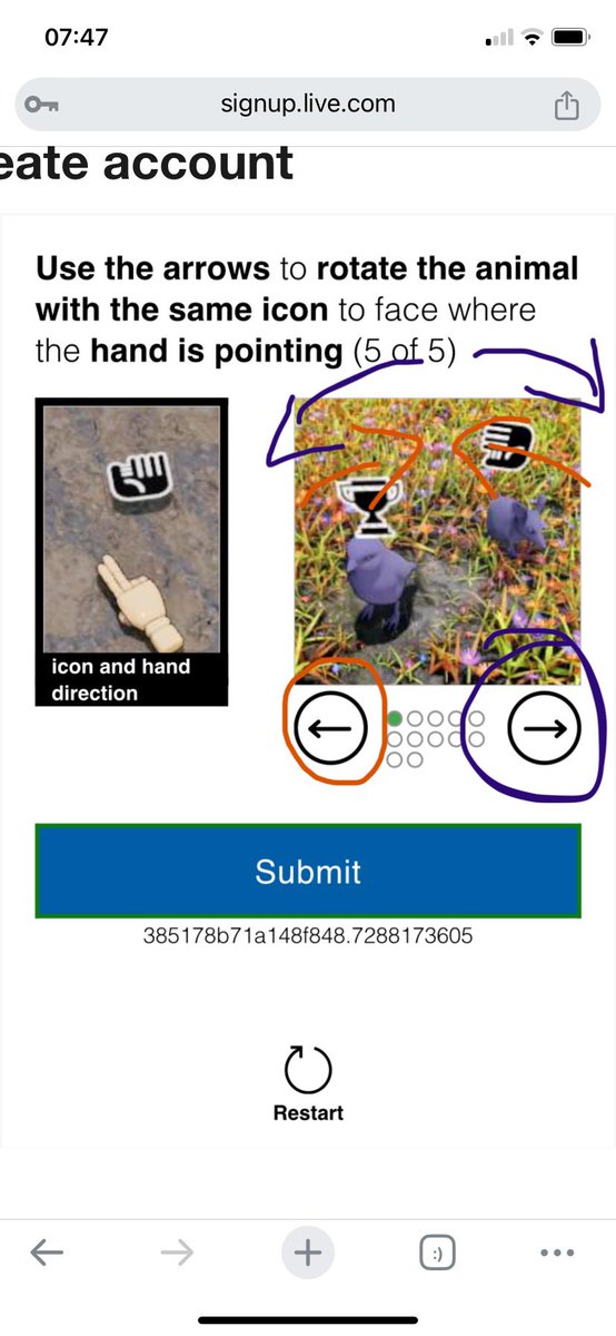 Susan Anderson tweet media