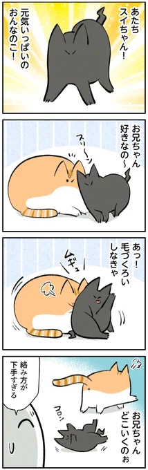 伝わらないお兄ちゃんへの気持ち… 
