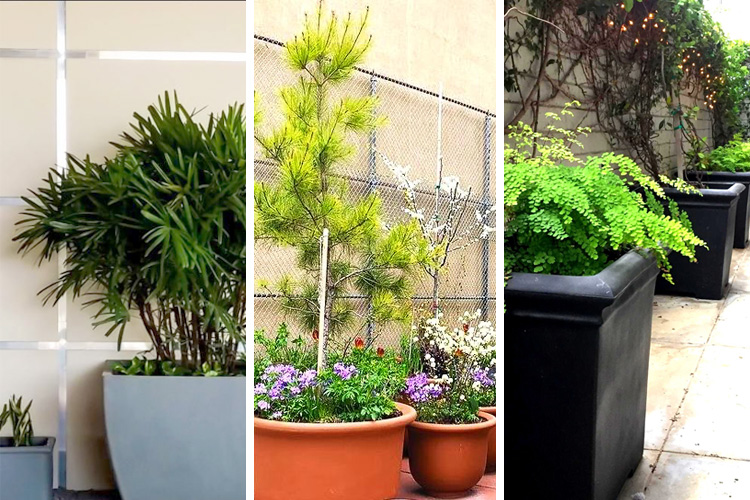 Downspout Planters: Sustainable and Aesthetic Solution to Rainwater Management @terracastpro #terracastpro #publicsafety #planters dlvr.it/Sx46Ks