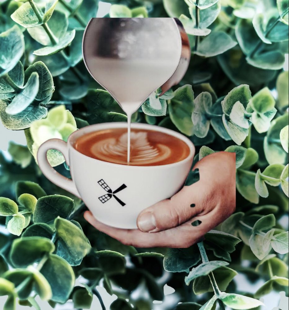 VientoCoffee's tweet photo. GOOD MORNING ☀️☕️🙌🏻

Ready for the weekend???

#weekend #friday #weekendvibes #morning #good #love #coffee #nature #natural https://t.co/UUk4Ex9AKp