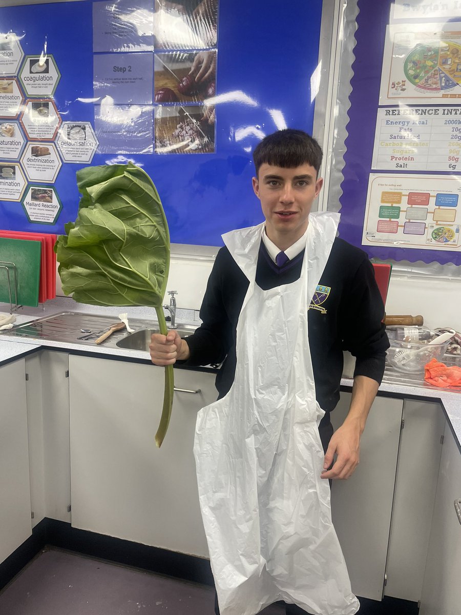 BOLHS_Year8 tweet media