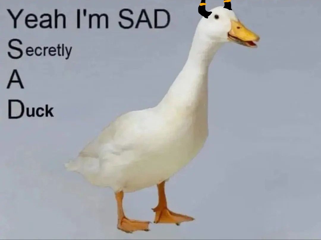 virtuallymood's tweet image. ✨ sub to my onlyfans.com/virtuallylewd so I can afford therapy ✨