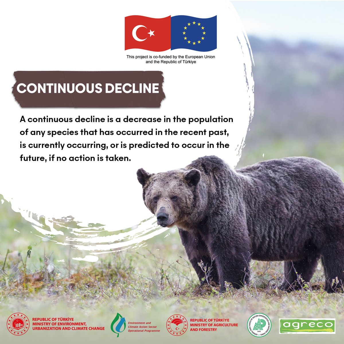 This week's word in our Endangered Species dictionary is Continuous Decline.

#endangeredspecies #tehlikedekitürler #continuousdecline #süregelendüşüş