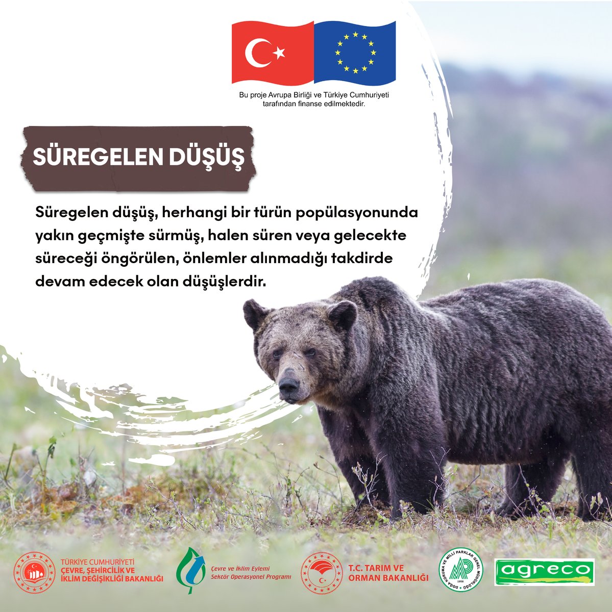 Tehlikedeki Türler sözlüğümüzün bu haftaki kelimesi Süregelen Düşüş.

#endangeredspecies #tehlikedekitürler #continuousdecline #süregelendüşüş