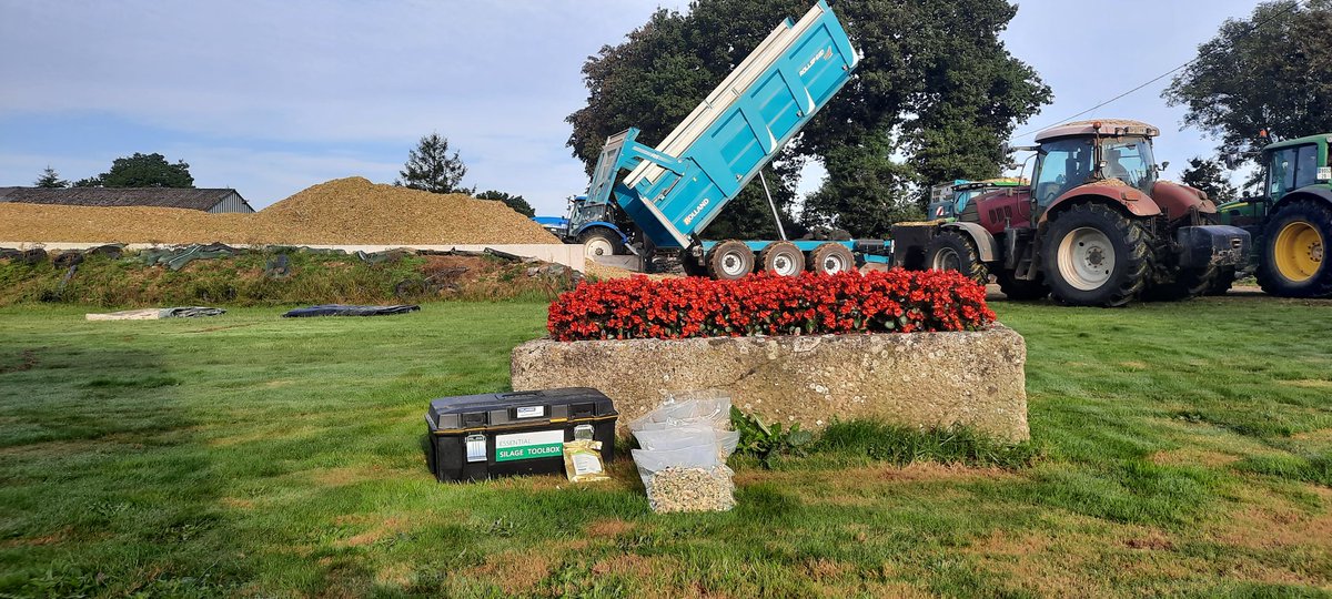 Hier, comparaison conservateurs #Silosolve #ensilage 🌽 à  Plouyé (29).
#ceuxquifontlesessais #ceuxquifontlelait