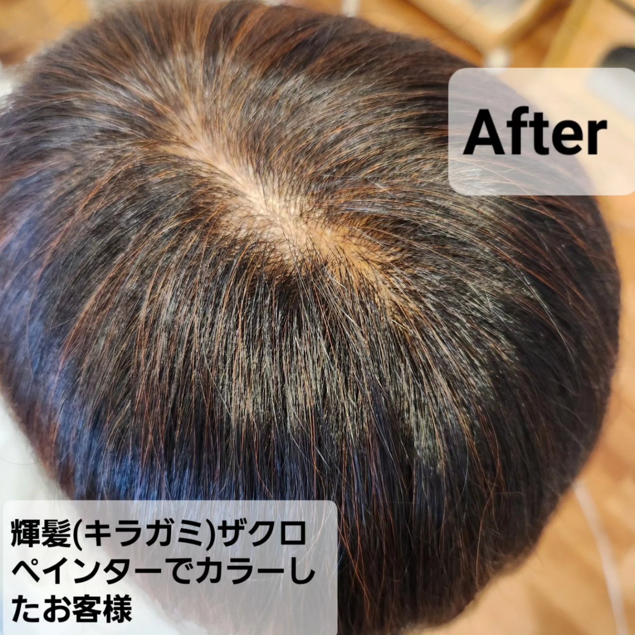 美空間 ザクロペインター ブラウン ⁄ 輝髪ザクロペインター A240