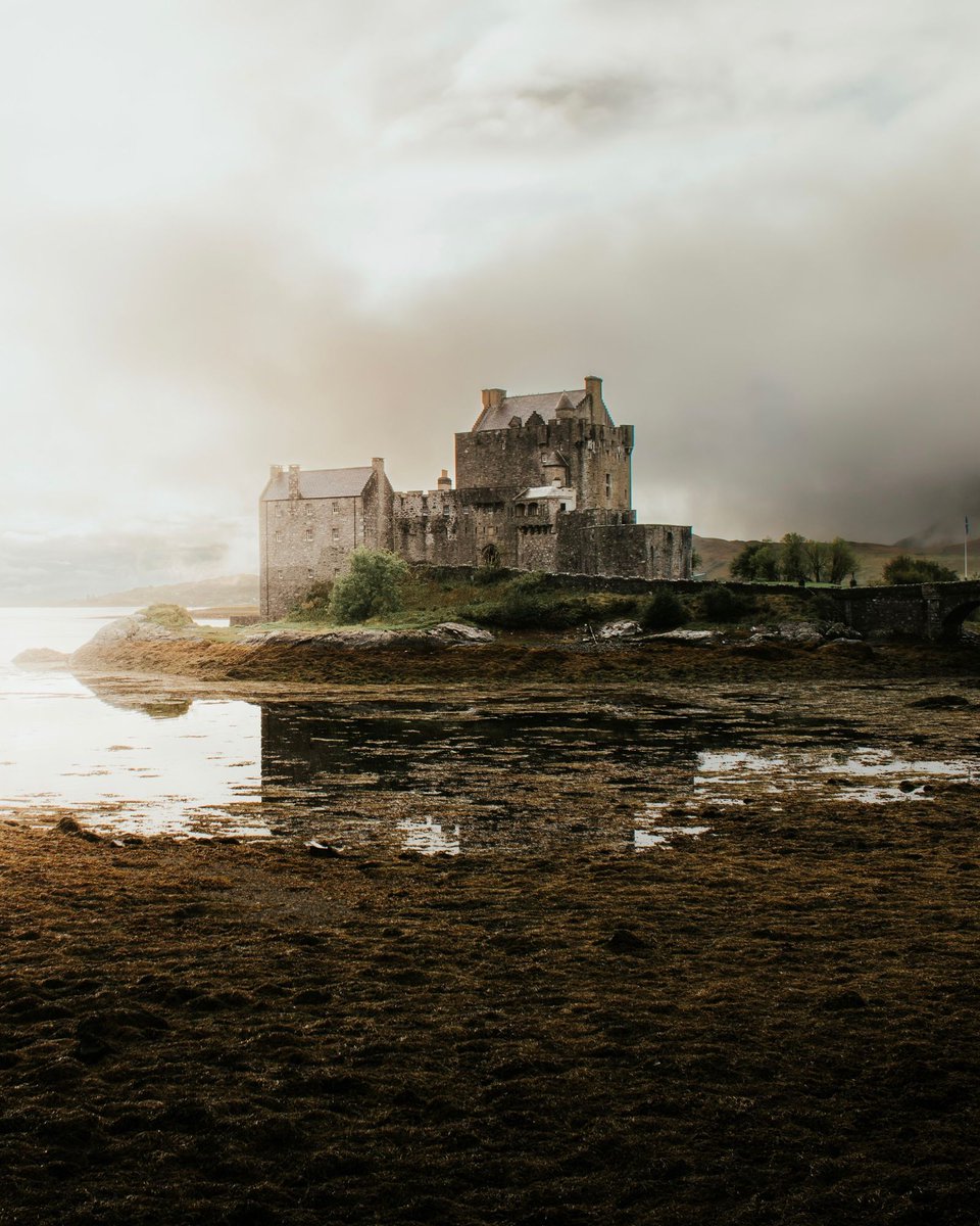 🇺🇦 Cassie Bouverie Website Strategist 🇺🇦 tweet media