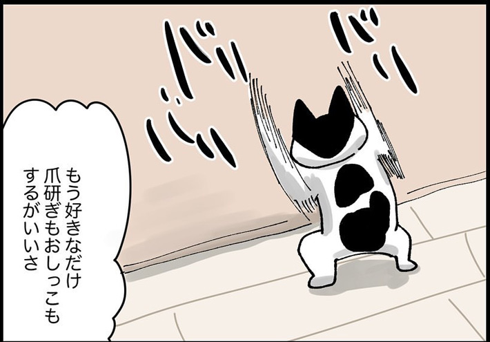 捨てちゃうマットレス、まさかの大人気!? 猫の『あるある』な行動が漫画に https://t.co/ROCMXSa3iO @grapeejpより 