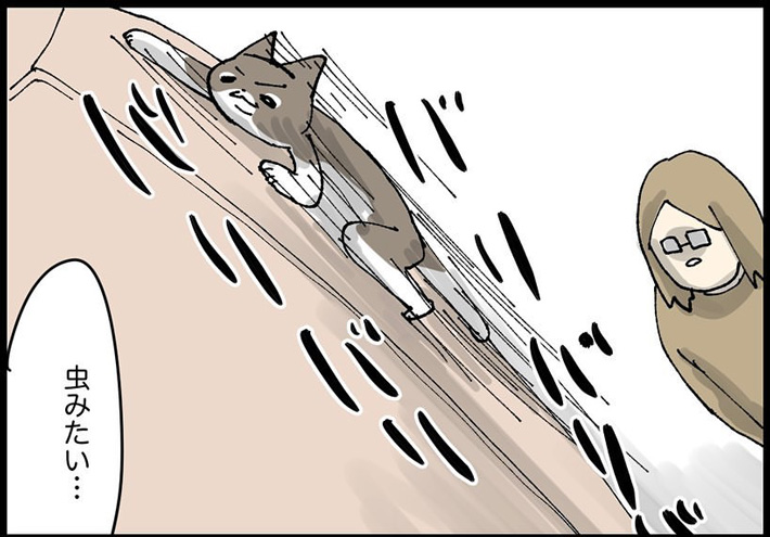 捨てちゃうマットレス、まさかの大人気!? 猫の『あるある』な行動が漫画に https://t.co/ROCMXSa3iO @grapeejpより 