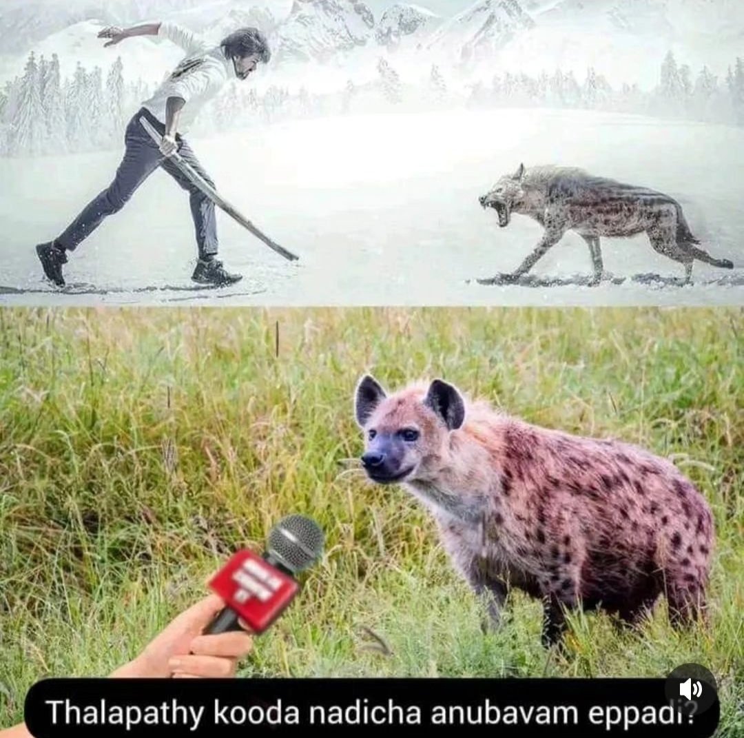 siddharth25697's tweet photo. Media after #LeoTrailer #Loki #ThalapathyVijay https://t.co/2VDtISxQWj