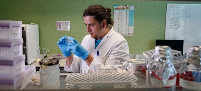 🧬Una de las principales líneas de investigación del grupo de Biología Molecular del cáncer dirigido por los investigadores Diego Marzese y Príam Villalonga es la identificación y reversión de mecanismos de ⬇️(Sigue)

<a href="/idisbaib/">IdISBa</a> <a href="/OncoHematIdISBa/">IdISBa Oncologia i Hematologia</a> <a href="/UIBuniversitat/">Universitat de les Illes Balears - UIB</a> <a href="/UABBarcelona/">Universitat Autònoma de Barcelona</a>