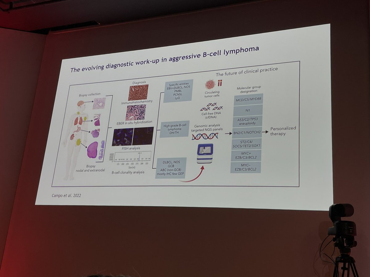 MediHumdani's tweet photo. At #colym @TheIACH Andy Davies dissecting genomics of LBCL moderators @AnnaSureda5 @StefanoLuminari #ymsm https://t.co/bC6Prwkddz