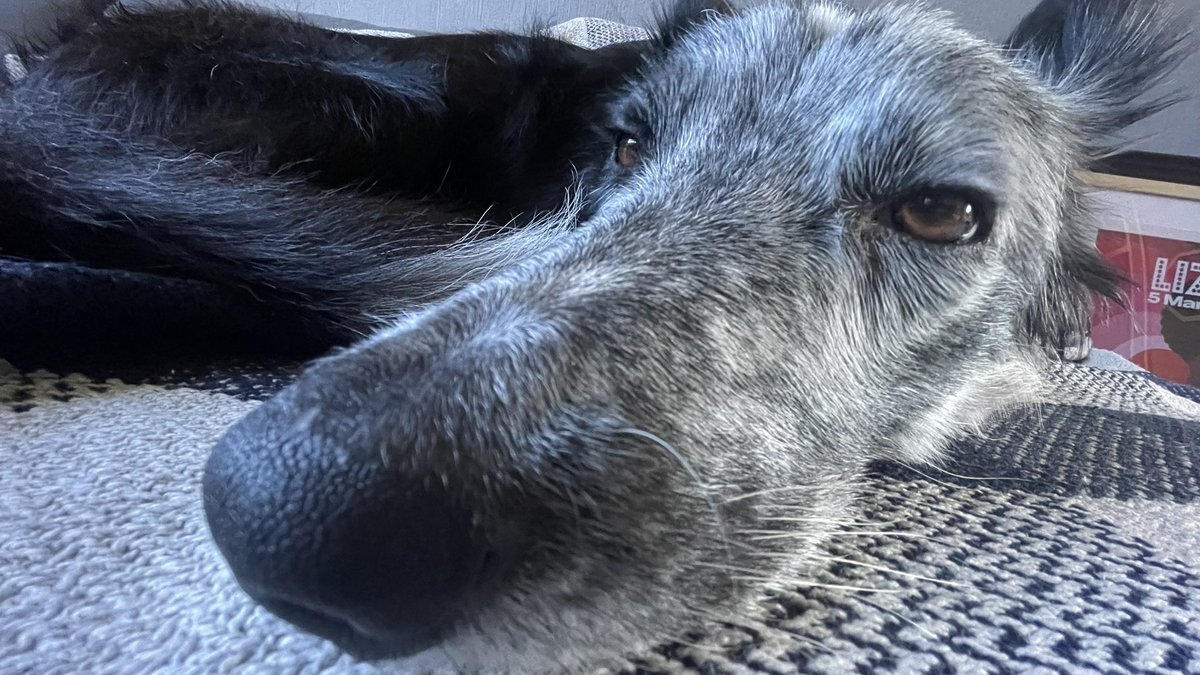 Macron hate account tweet media