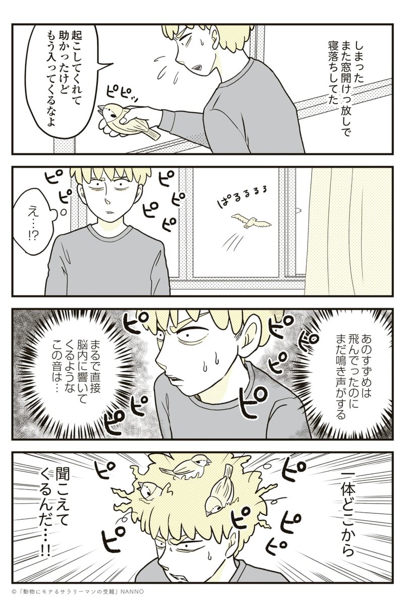 (2/3)