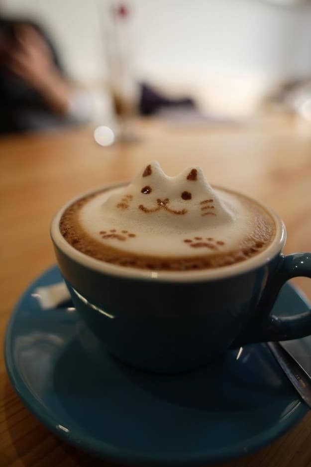 xierraxw's tweet photo. #FQWeek23
- Feline Latte Art for a Writer's brew
- Day 1: First Meetings
- Modern AU
- Barista FX and Writer MQ<3
- MQ gay panicking everytime he sees a pic of FX, real not clickbait

📌: https://t.co/Si9AXNwEZm https://t.co/JwSzhUDQvK
