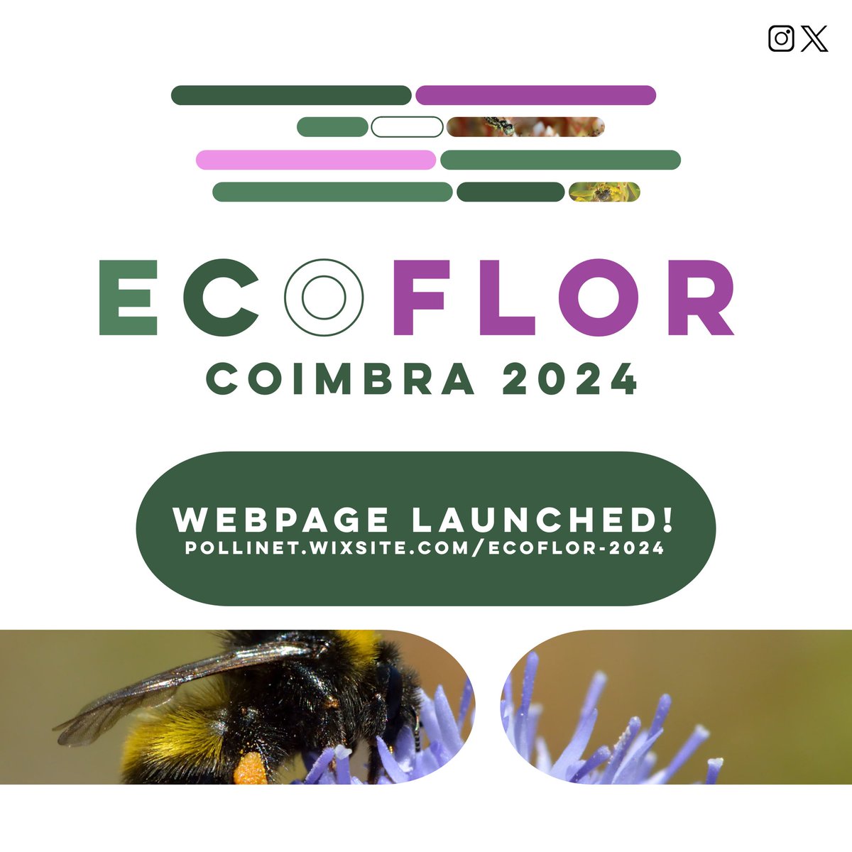 EcoFlor tweet media