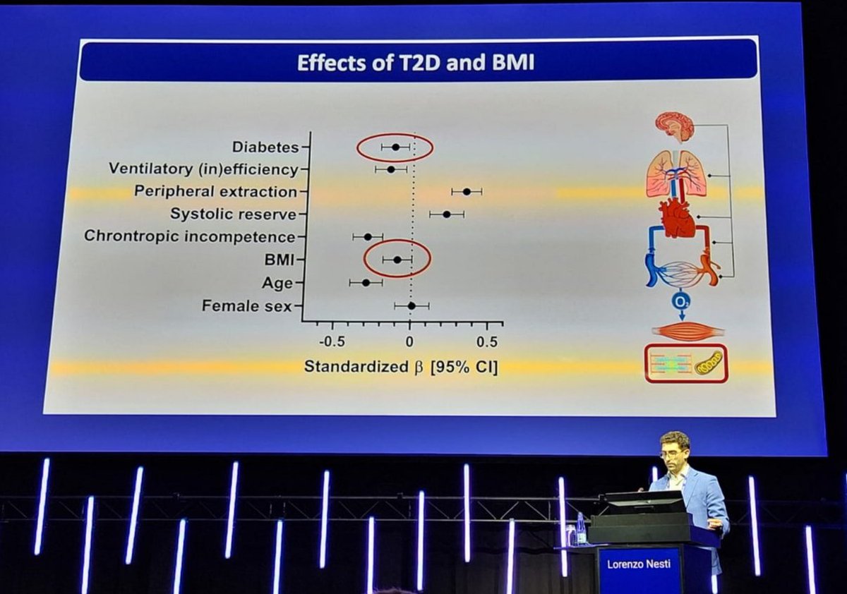 <a href="/dotLorenzoNesti/">Lorenzo Nesti</a> shows how diabetes and obesity affects cardiopulmonary fitness at #EASD2023 <a href="/EASDnews/">EASD</a>