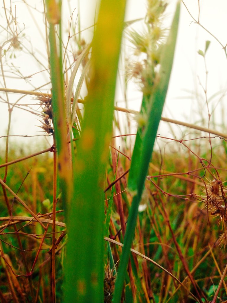 Elbash3875's tweet image. Good morning
Can you recreate this