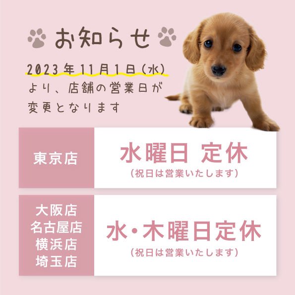 dearpet's tweet photo. 🌈店舗 営業日変更のお知らせ

2023年11月1日(水)より、
ディアペット店舗の営業日が変更となります。

ご不便をおかけしますが、
何卒ご理解賜りますようお願い申し上げます。

🍀 店舗情報：https://t.co/osjpOtTZ1F https://t.co/NvU5aISj3u