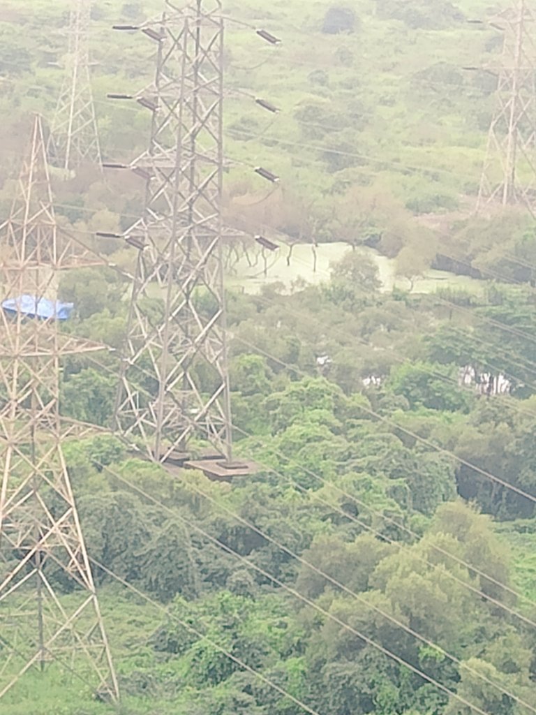 coursellence's tweet photo. @CMOMaharashtra @SMungantiwar @navimumbaicv @NaviMumbaiWetl1 
Anti social elements  are killing the mangroves and creating artificial water bodies in Airoli mangroves.
Mangrove cell is ignorant of these activities. https://t.co/TfUQ0tDJnI