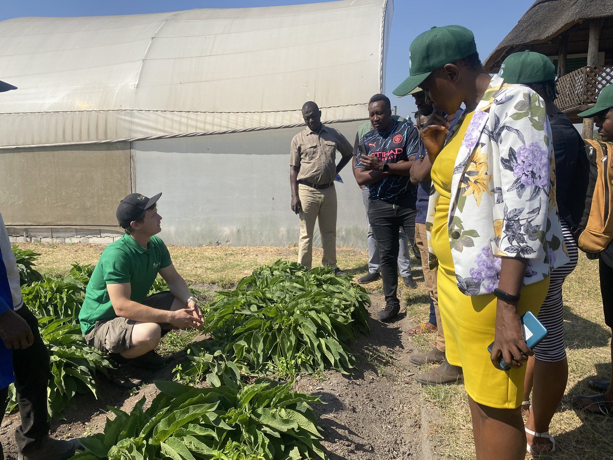 ADRAZimbabwe's tweet photo. Thank you FARM STEW & Newstart Children's Home for allowing us a rewarding experience yesterday ๐๐๐ - with @ADRAIntl
#ADRAat40 #environmentsafeguarding #ClimateAction #FruitTrees #plantatree https://t.co/20i1BRmx0k