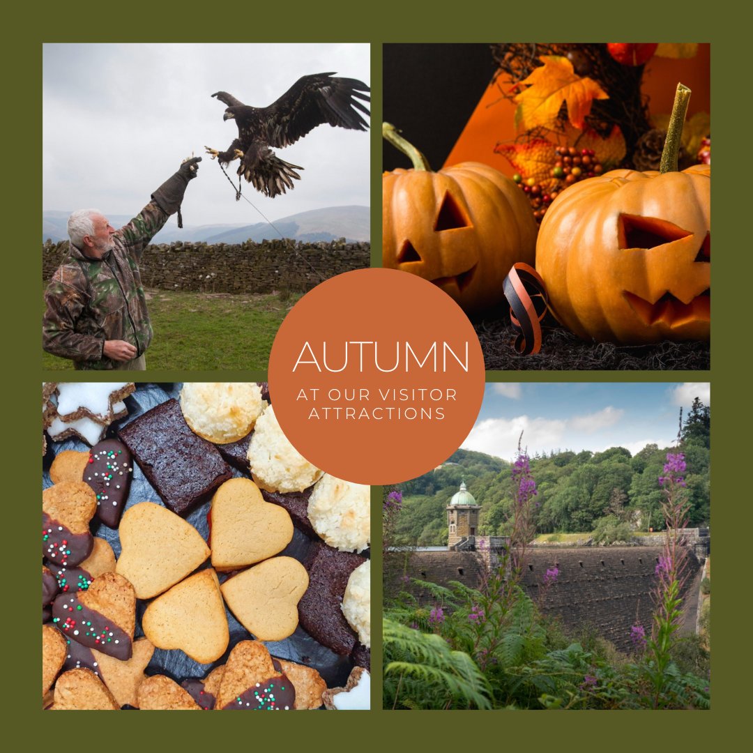 Welsh Water tweet media