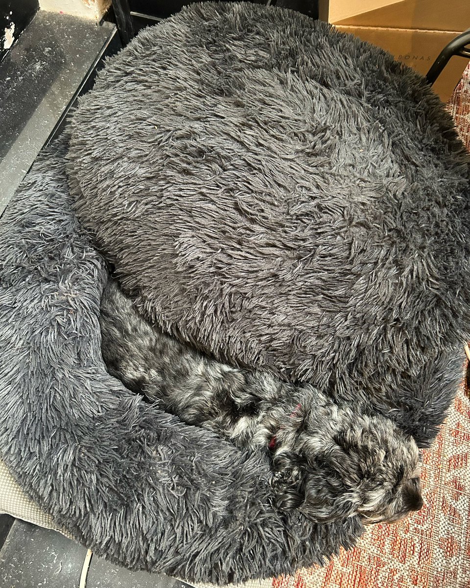 Alec Leggat tweet media