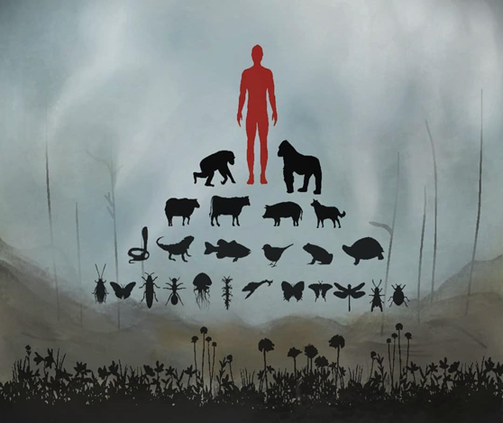 1 ANTHROPOCENTRISM

This is a problem, and a blindspot, in economics (and in other disciplines)

It is time to go beyond anthropocentrism, and it is possible

A thread to explain why