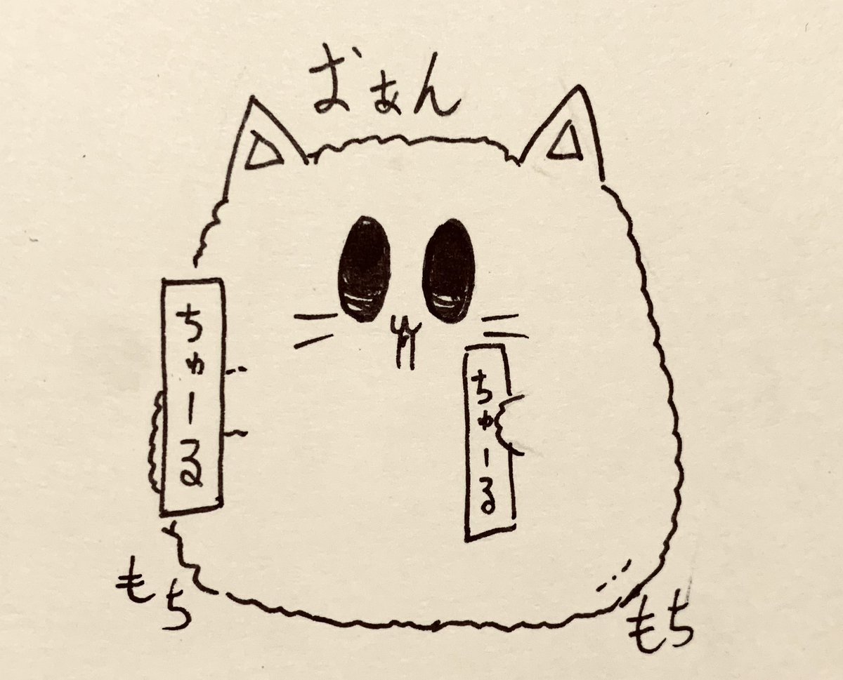 どっちのチュールあげるか悩んでたかもしれないもち猫さん 