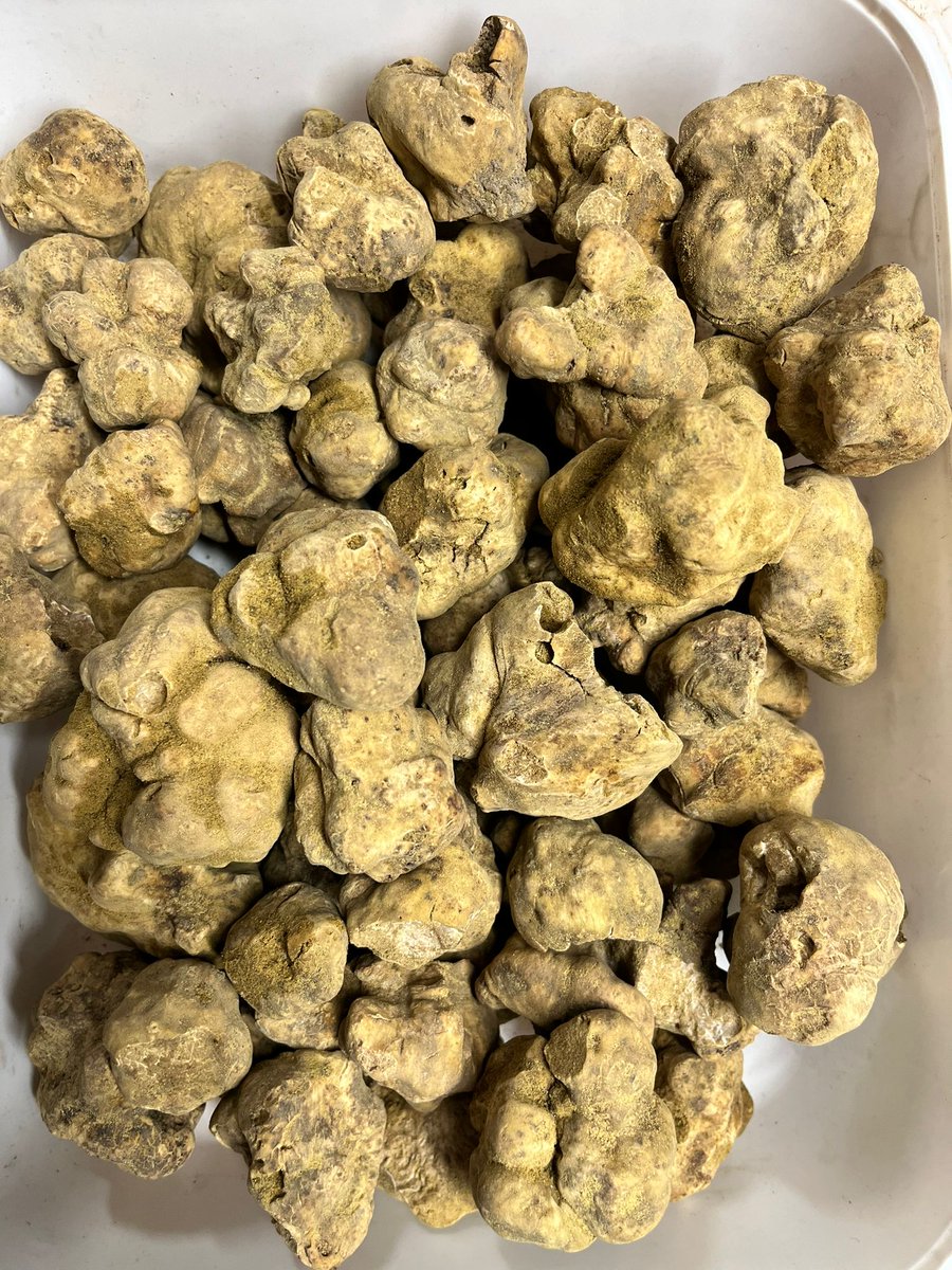 Sybaritic2011's tweet photo. Truffle goodness
#truffles #london #luxury #food #foodporn #gastronomy #gourmet #finefood #ingredients #michelinguide #michelinstar #aarosette #aaguide #trufflemerchant #trufflelife #sybaritic https://t.co/1o7tKJlPLl