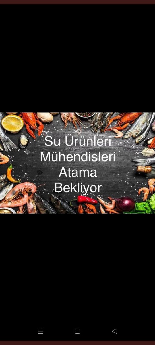 <a href="/ibrahimyumakli/">İbrahim Yumaklı</a> <a href="/trthaber/">TRT HABER</a>