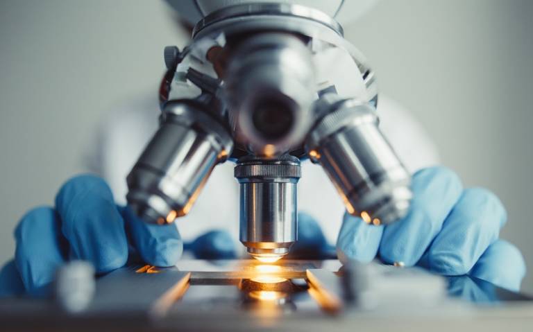 UCLEnterprise's tweet photo. A collaboration between @ucl and @GSK aims to discover innovative kidney cancer treatments.

Researchers from @iit_ucl are investigating how to use the patient's own cells in treatments: https://t.co/ReOdZr78qt

@UCLInfectImm @uclmedsci 

#KEF3 https://t.co/ZZ0UytK5dl