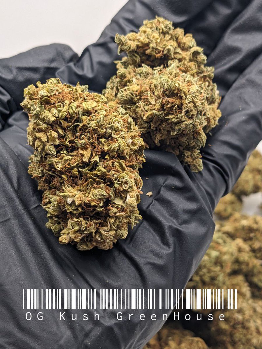 GrowGreen92's tweet photo. #大麻 #weed #飞行员燃料 https://t.co/4oTDvofc31