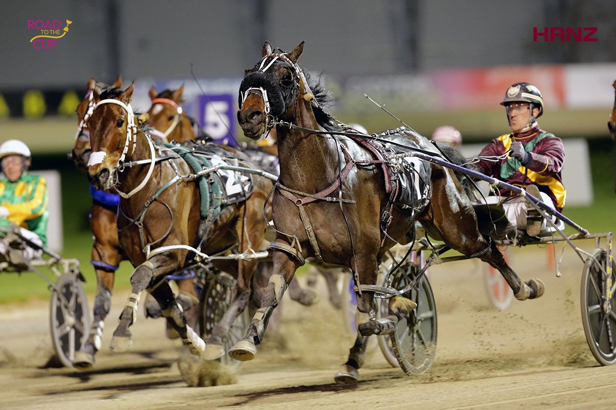 Harness Racing NZ tweet media