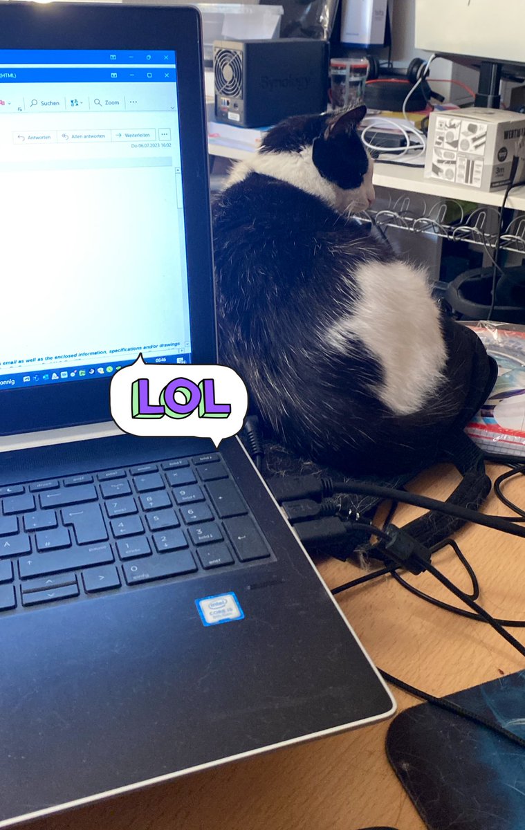 Catgoneinsane's tweet photo. @puschi22 Sheldon hilft auch, wo er kann https://t.co/3nG1LHd767