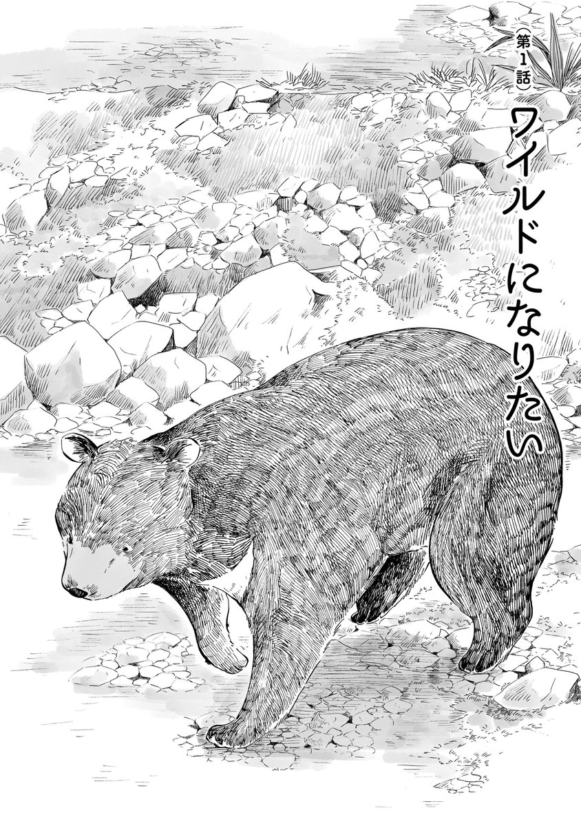 サラリーマン熊がキャンプをする話(1/5) #漫画が読めるハッシュタグ