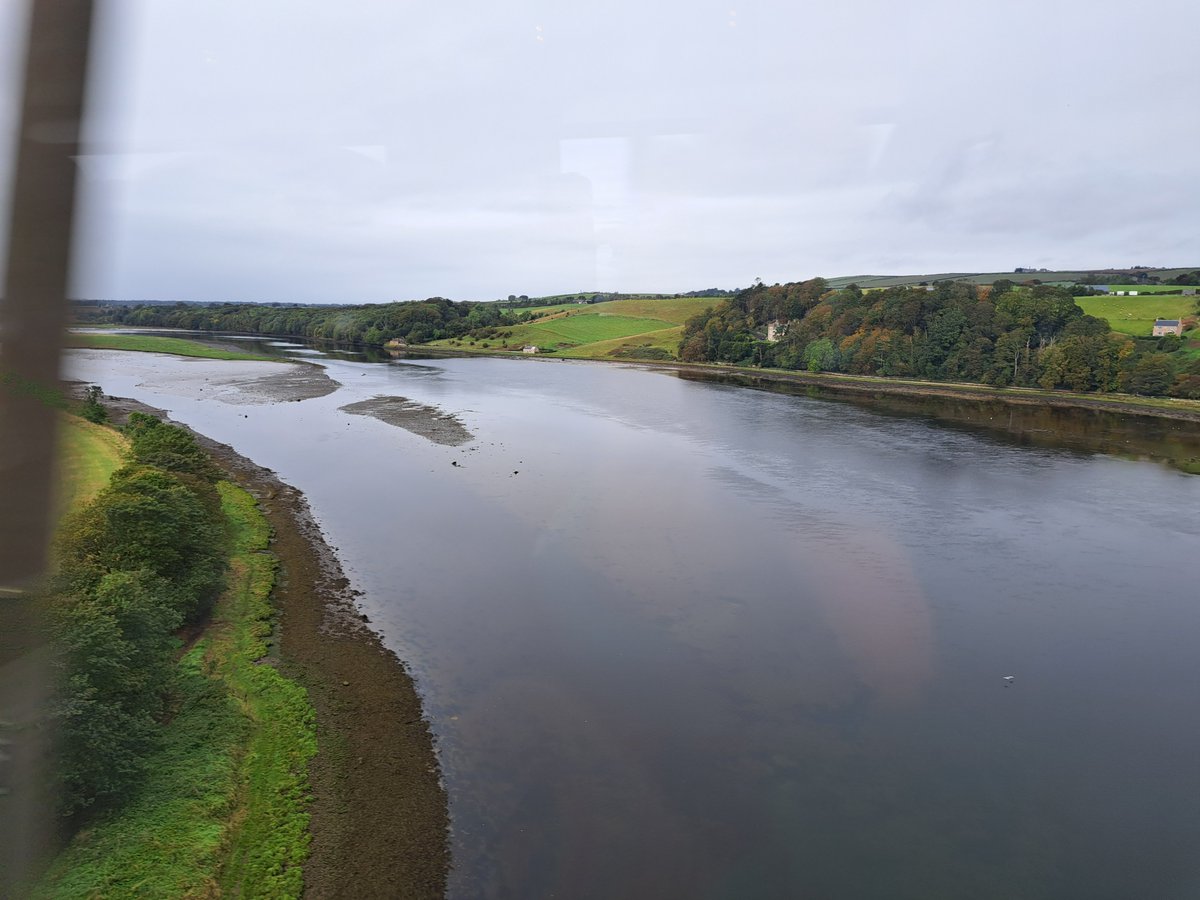 Access Folk tweet media