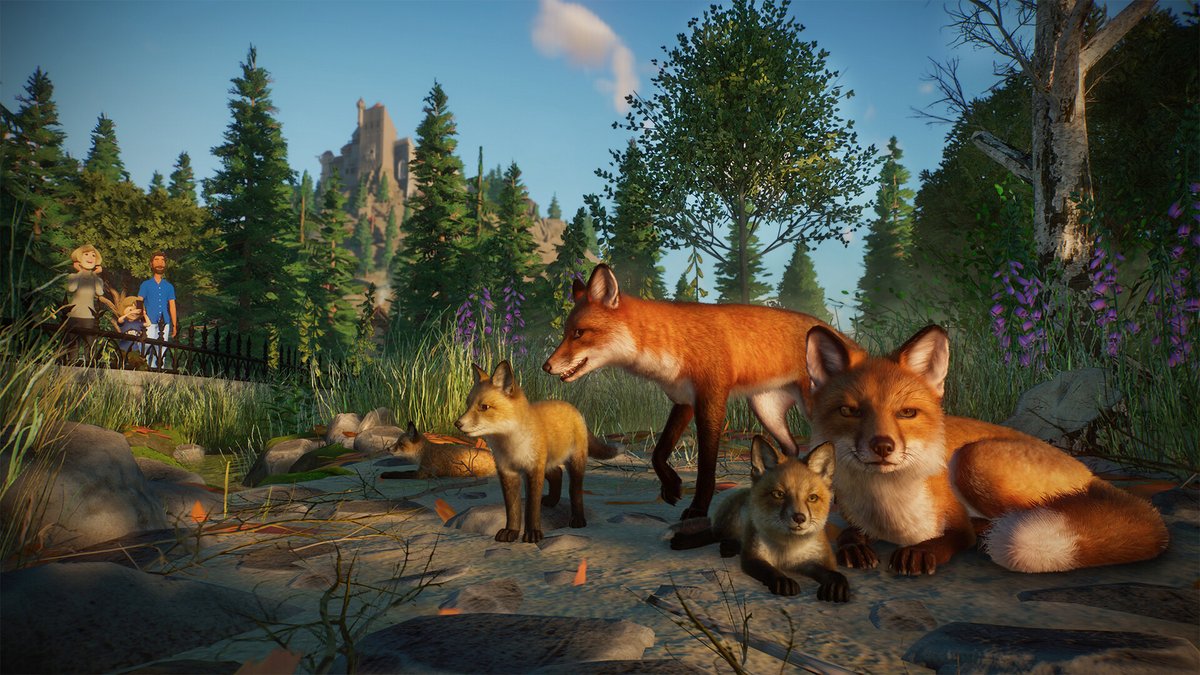 Angie_Rex_'s tweet photo. Je suis en live sur planet zoo, Je fais un parc sur l'amérique du nord, dans une forêt dense avec des renards entre autres, https://t.co/rFAl4PnZMG #planetzoo #FrontierDevelopments #allDLC https://t.co/SBCglNtf7i