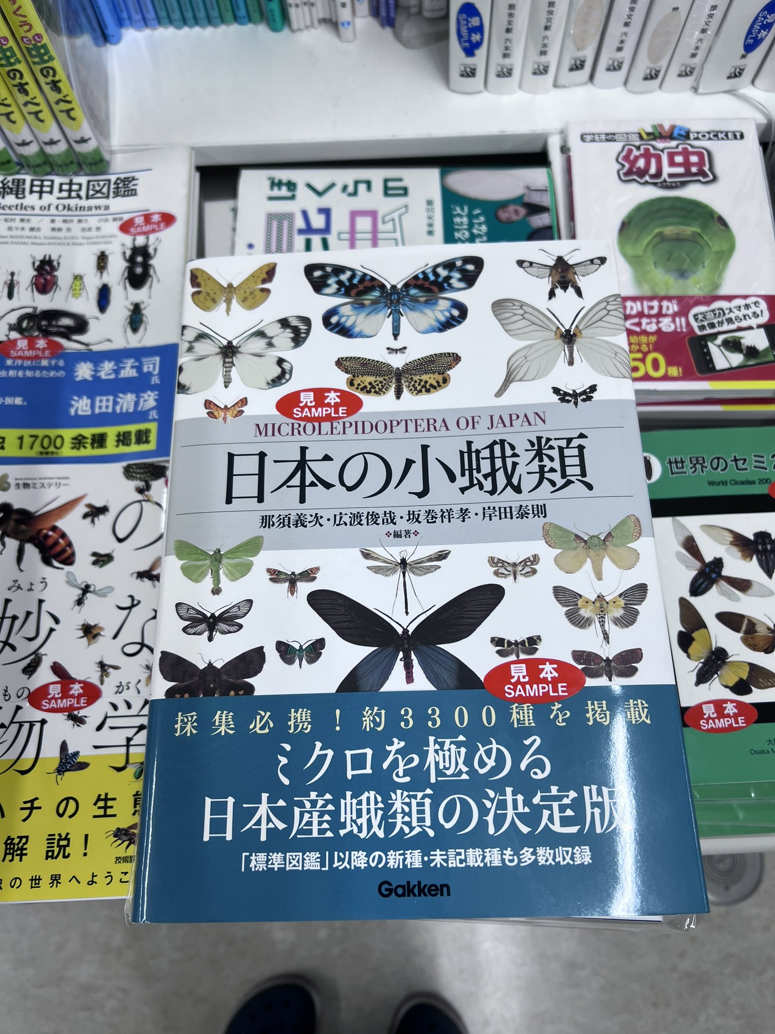 そーなんだ歴史編全巻セット+お得なおまけ♡メルカリ便《送料込み